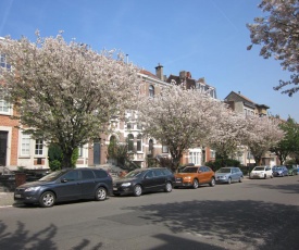 La Maison des Chouettes