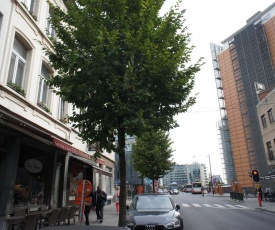 Apartments Berlaymont OHY